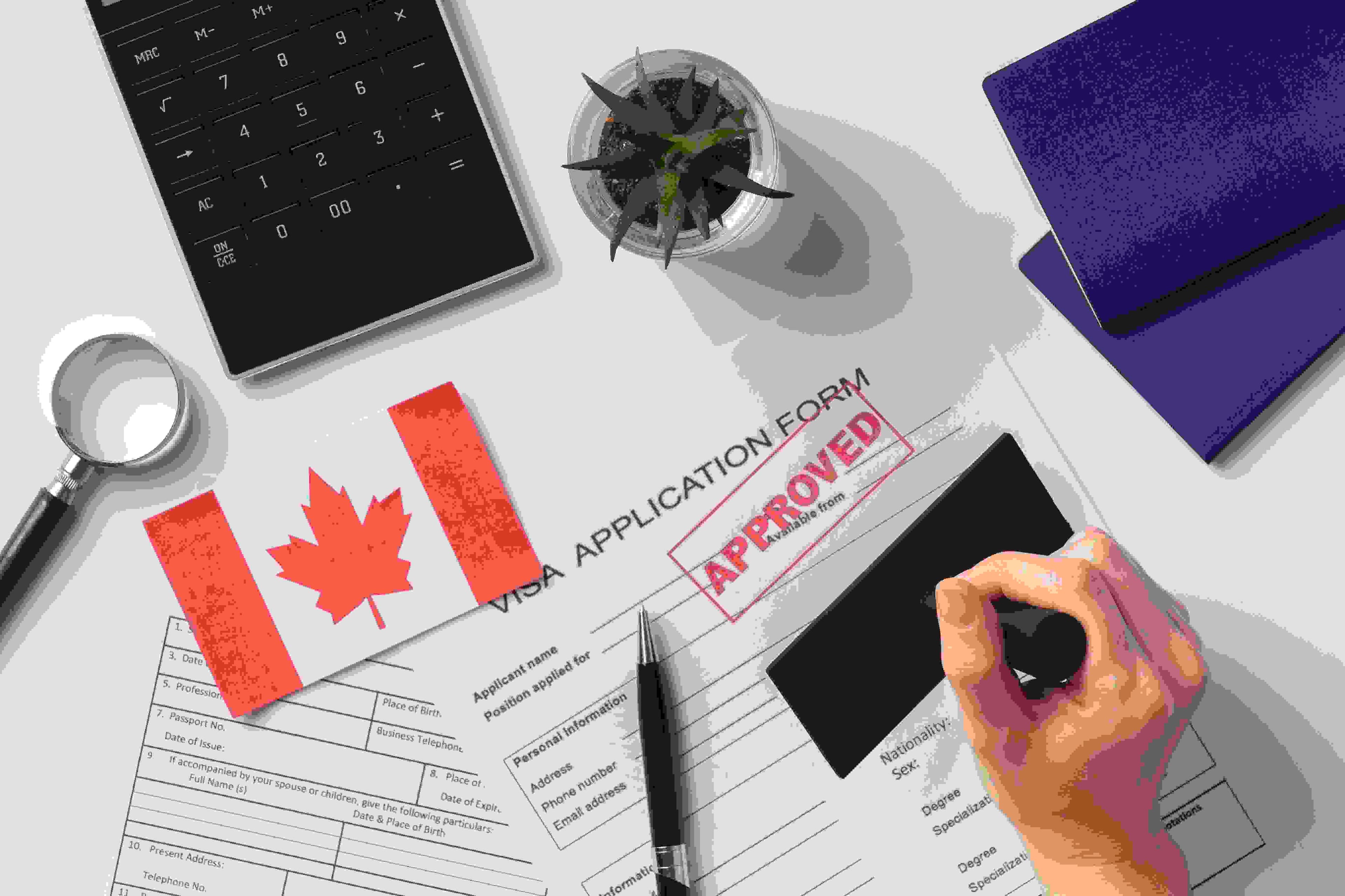 Canada Visa Consultancy
